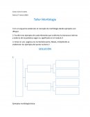 Taller Morfologia