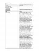 La dimensión social del proyecto europeo