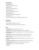 Yacimientos fósiles