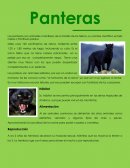 Panteras