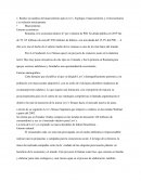 Marketing y comunicación Levi´s