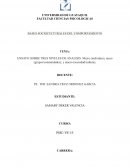 ENSAYO SOBRE TRES NIVELES DE ANALISIS: Micro (individuo), meso (grupos/comunidades); y macro (sociedad/cultura)