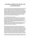 Las Relaciones Sociales en la Naturaleza
