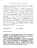 DIVISIÓN BACILLARIOPHYTA (DIATOMEAS)