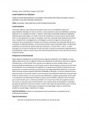 IGUALDAD E INCLUSION EN LAS INTITUCIONES EDUCATIVAS