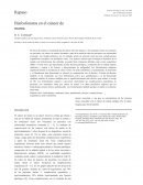 Bisfosfonatos en el cáncer de mama