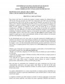 Practica Caso LACTOSAC 2021