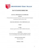 El reconocimiento de una pensión de gracia por viudez a la unión de hecho impropia necesaria para su sobrevivencia en el Perú