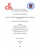 Análisis de la estrategia de marketing de San Fernando S.A