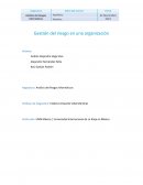 GESTION RIESGO ORGANIZACIÓN UNIR