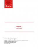 Análisis de gestión de calidad en mieles del Maipo