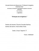 ENFOQUES LINGUISTICOS