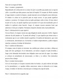 FASES DE LA CIRUGÍA DE MOHS