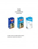 IPLACEX INFORME PLAN DE MARKETING