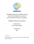 INFORME DE PRÁCTICAS DE BOTICA