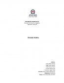 Resumen Ejecutivo: Chamán Andino SpA