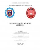 Representación del Acto Jurídico