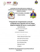 Propuesta de reorganización curricular multigrado para segundo ciclo de lengua materna español de tercer y cuarto grado