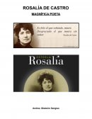 Literatura apuntamentos sobre Rosalía de Castro