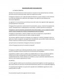 PRESENTACIÓN PROFE PSICOLINGUISTICA