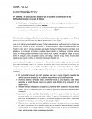TAREA FOL 02 SUPUESTOS PRÁCTICOS