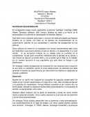 NAUFRAGO SEGÚN MASLOW