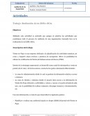 Trabajo: Realización de un EDR o ROA