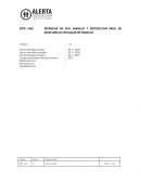 ESTANDAR MANEJO MASCARILLAS