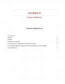 Tendencias y Megatendencias