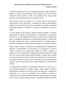 Ensayo Importancia de la Resiliencia Organizacional en tiempos de Crisis