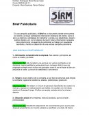 Brief de una campaña publicitaria