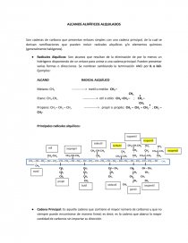ALCANOS ALIFÁTICOS ALQUILADOS. Página 1
