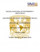 HISTORIA DE LA ENFERMERIA