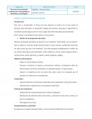 Estilo educativo, Educación Personalizada. UNIR