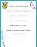 TRANSPORTE Y UTILIZACIÓN DE LÍPIDOS