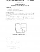 RESISTIVIDAD ELECTRICA DEL AGUA Y SUELOS