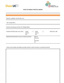 PAUTA DE TRABAJO- PRÁCTICA LABORAL. Página 1