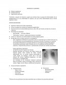Síndromes Pulmonares