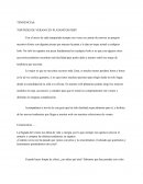 TOP PICKS DE VERANO EN PLATANITOS PERÚ