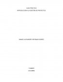 Caso practico Introducción a la gestión de proyectos