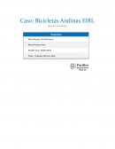 Caso: Bicicletas Andinas EIRL