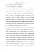 Derecho Natural