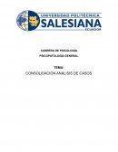 CONSOLIDACIÓN ANÁLISIS DE CASOS