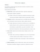 Maltrato, abuso y negligencia