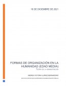 Formas de organización en la humanidad