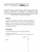 Balance macroscopico