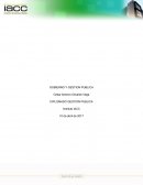 GOBIERNO Y GESTION PUBLICA