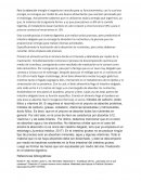 Obtención de energía