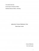 Aplicación de Técnicas Publicitarias: Wook