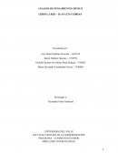 ANALISIS DE PENSAMIENTO CRITICO LIBRO LA RED